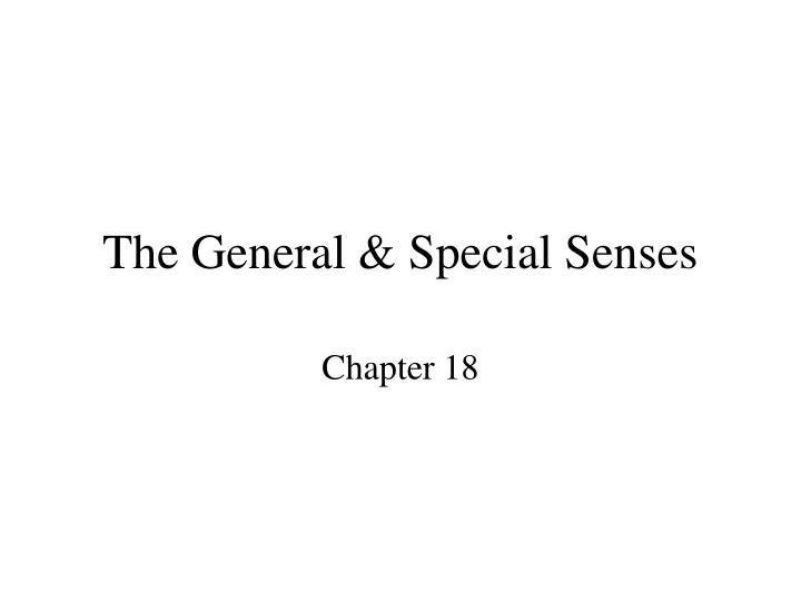the general special senses