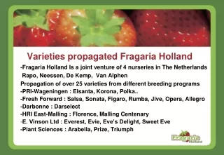 Varieties propagated Fragaria Holland