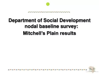 Department of Social Development nodal baseline survey: Mitchell’s Plain results