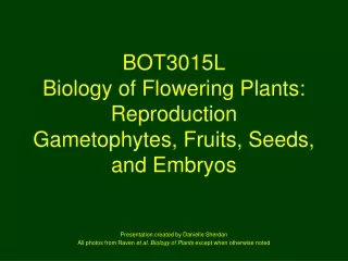 BOT3015L Biology of Flowering Plants:  Reproduction Gametophytes, Fruits, Seeds, and Embryos