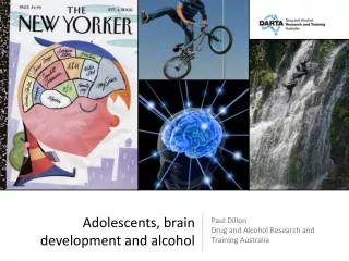 Paul Dillon Drug and Alcohol Research and  Training Australia