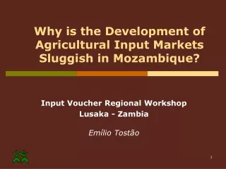 Why  is the Development of Agricultural Input Markets Sluggish in Mozambique?