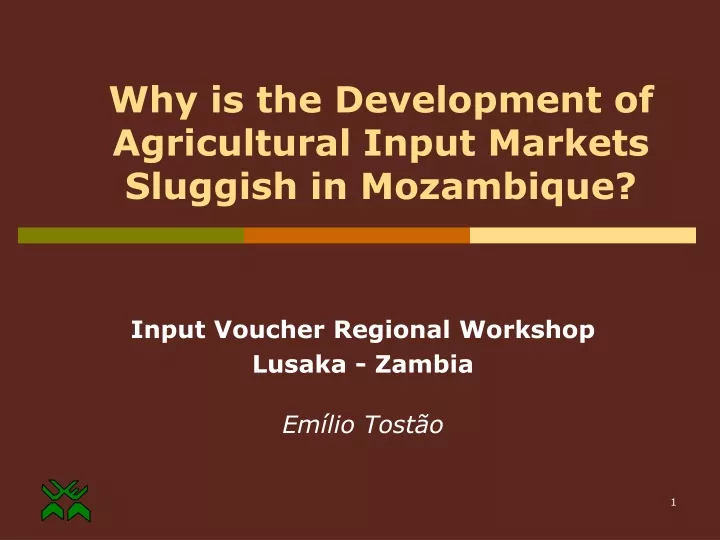 why is the development of agricultural input markets sluggish in mozambique