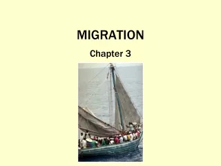 MIGRATION