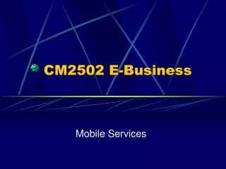 CM2502 E-Business
