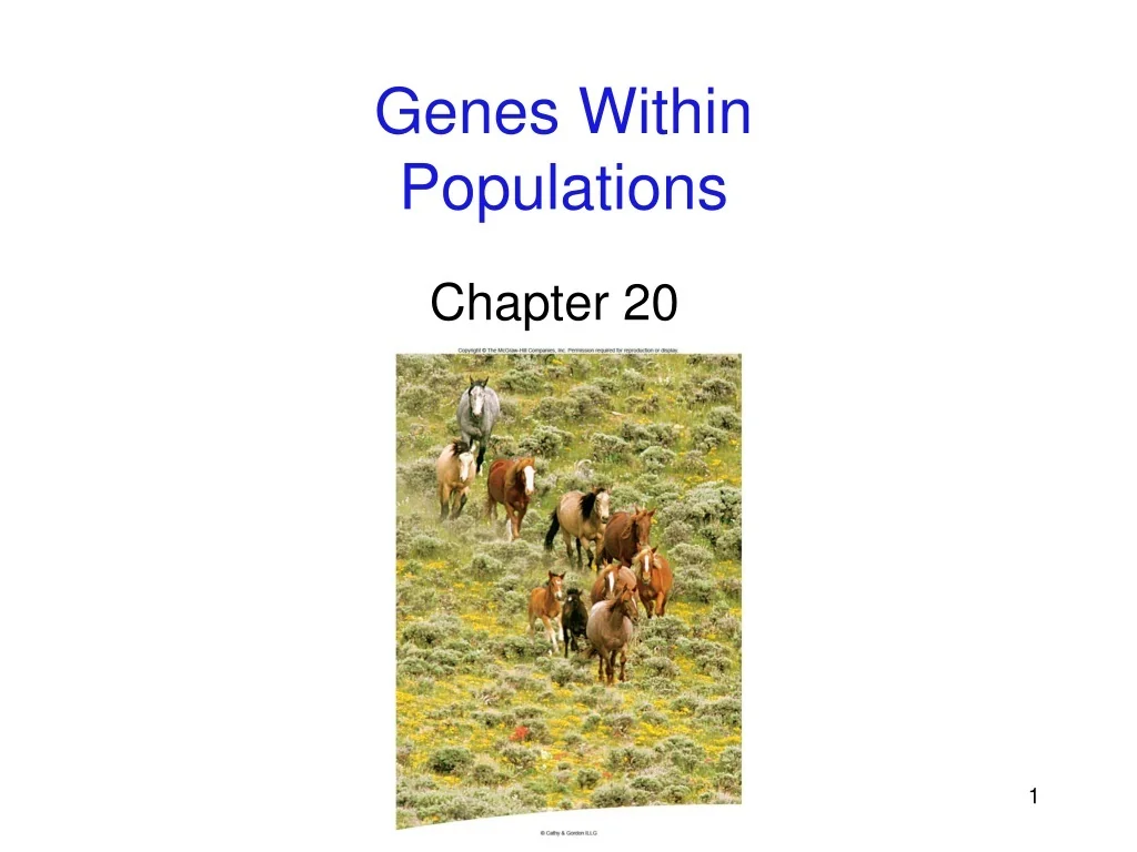 PPT - Genes Within Populations PowerPoint Presentation, free download ...