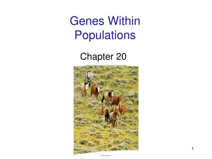 genes within populations