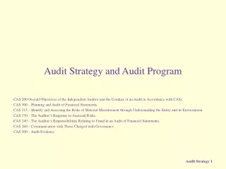 Audit Strategy and Audit Program