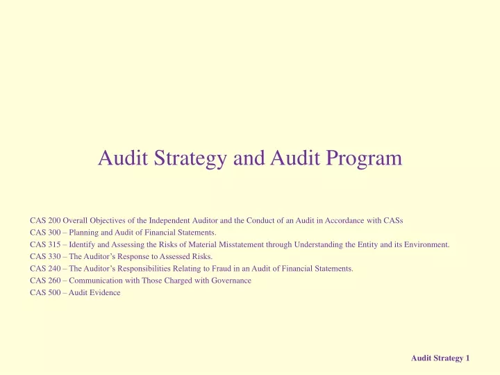audit strategy and audit program