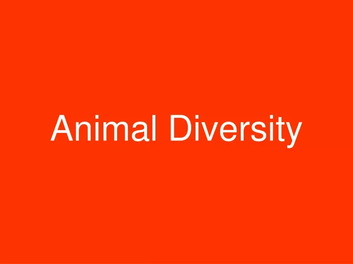animal diversity