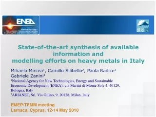 State-of-the-art synthesis of available information and modelling efforts on heavy metals in Italy