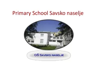 Primary School Savsko naselje