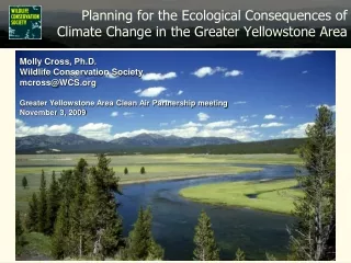 Planning for the Ecological Consequences of Climate Change in the Greater Yellowstone Area