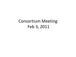 Consortium Meeting  Feb 3, 2011