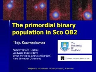 The primordial binary population in Sco OB2