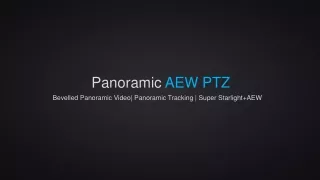 Panoramic  AEW PTZ