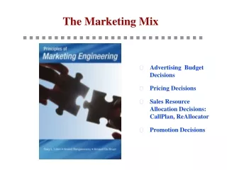 Advertising  Budget Decisions Pricing Decisions