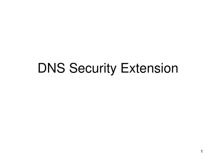 dns security extension