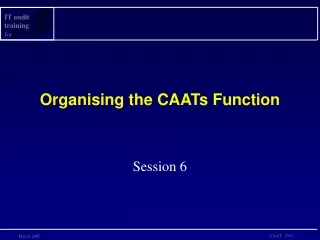 Organising the CAATs Function