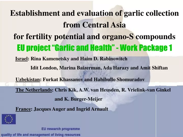 establishment and evaluation of garlic collection