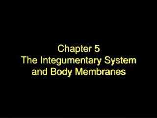 Chapter 5 The Integumentary System and Body Membranes