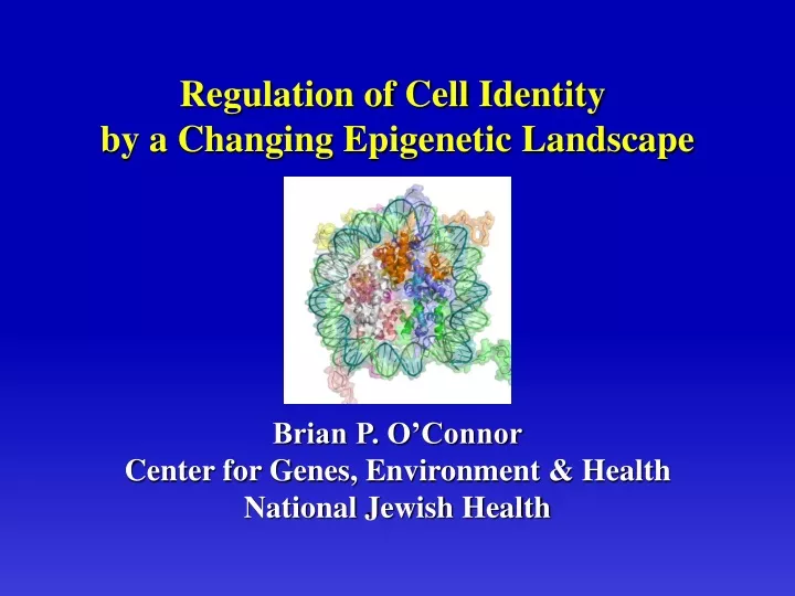 regulation of cell identity by a changing