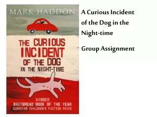 A Curious Incident of the Dog in the Night-time  Group Assignment