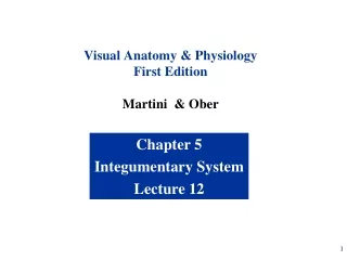 Chapter 5 Integumentary System Lecture 12