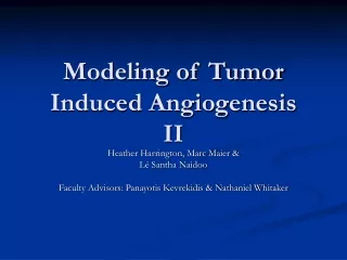 Modeling of Tumor Induced Angiogenesis II
