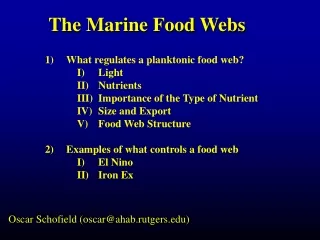 The Marine Food Webs