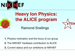 Heavy Ion Physics: the ALICE program