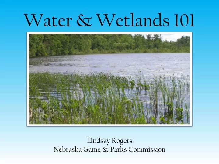 water wetlands 101 lindsay rogers nebraska game