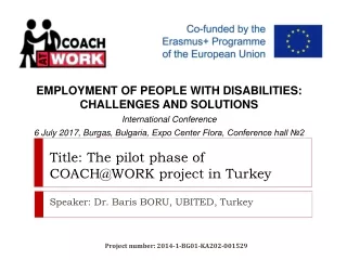 Title: The pilot phase of COACH@WORK project in Turkey