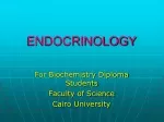ENDOCRINOLOGY - slide 1