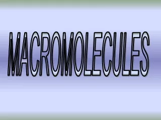 MACROMOLECULES