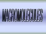 Macromolecules: Carbohydrates, Lipids, Proteins, Nucleic Acids - slide 1