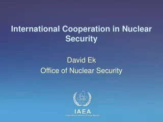International Cooperation in Nuclear Security