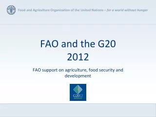FAO and the G20  2012