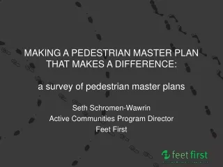 MAKING A PEDESTRIAN MASTER PLAN THAT MAKES A DIFFERENCE: a survey of pedestrian master plans