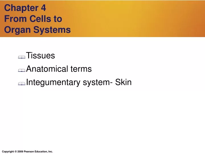 chapter 4 from cells to organ systems