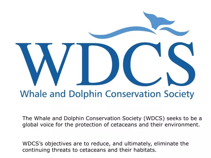 the whale and dolphin conservation society wdcs
