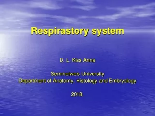 Respirastory system