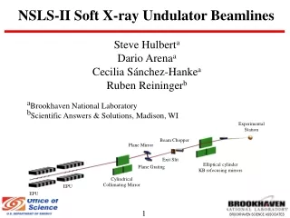 NSLS-II Soft X-ray Undulator Beamlines