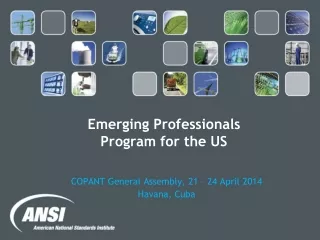 Emerging Professionals  Program for the US