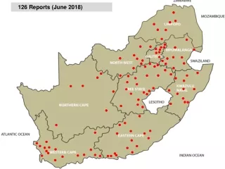 126 Reports (June 2018)