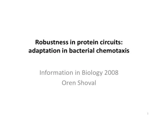 Robustness in protein circuits: adaptation in bacterial chemotaxis