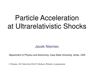 Particle Acceleration at Ultrarelativistic Shocks