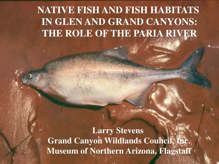 native fish and fish habitats in glen and grand