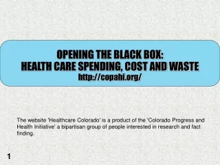 OPENING THE BLACK BOX: HEALTH CARE SPENDING, COST AND WASTE copahi/