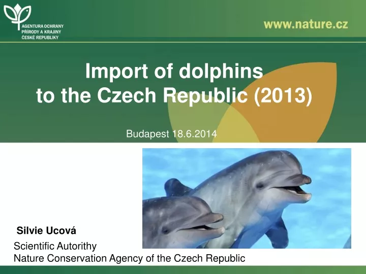 import of dolphins to the czech republic 2013